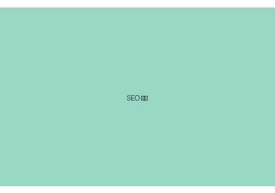 SEO 优化